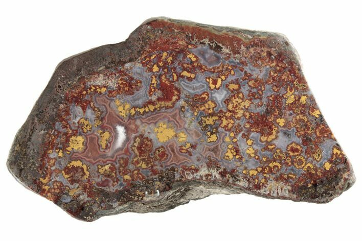 Polished Cruentus Agate Section - Kerrouchen, Morocco #187104